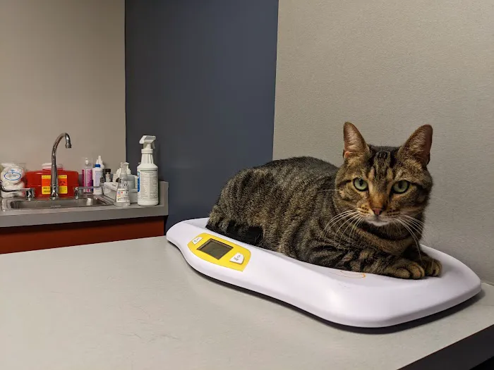 King of Prussia Veterinary Hospital 6