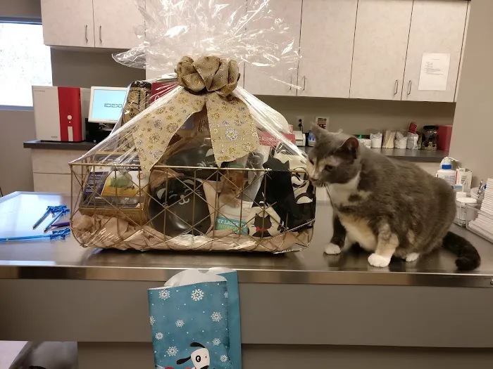King of Prussia Veterinary Hospital 4