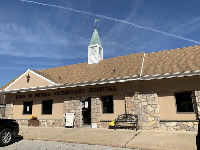 King of Prussia Veterinary Hospital 7