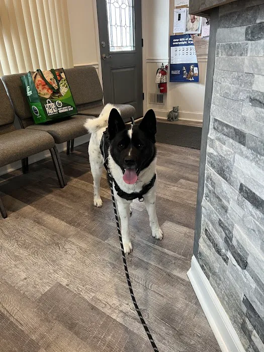 Animal Hospital of Somerdale 9