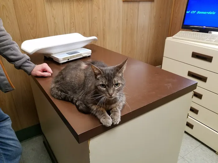 Animal Hospital of Somerdale 8