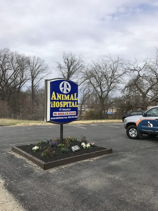 Animal Hospital of Somerdale 2