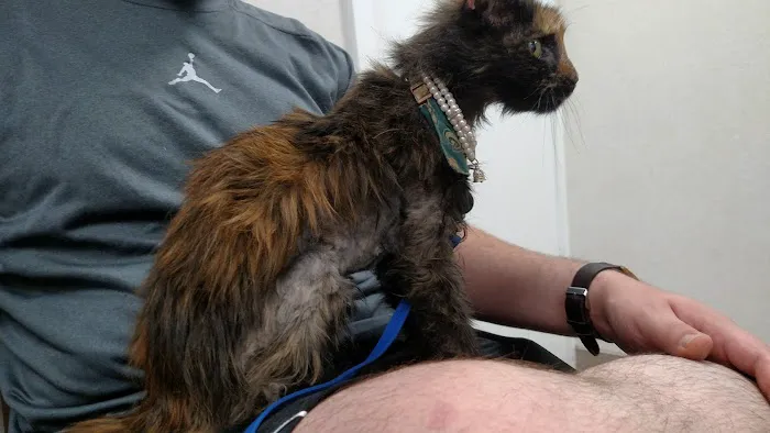 Boulevard Animal Hospital 4
