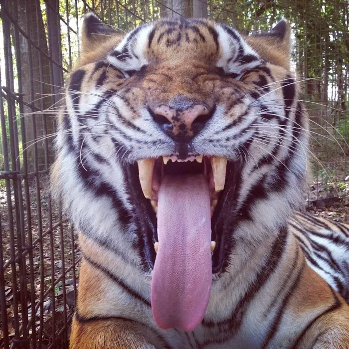 Boulevard Animal Hospital 7