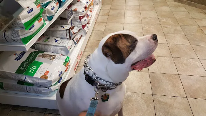 VCA Knightswood Animal Hospital 3