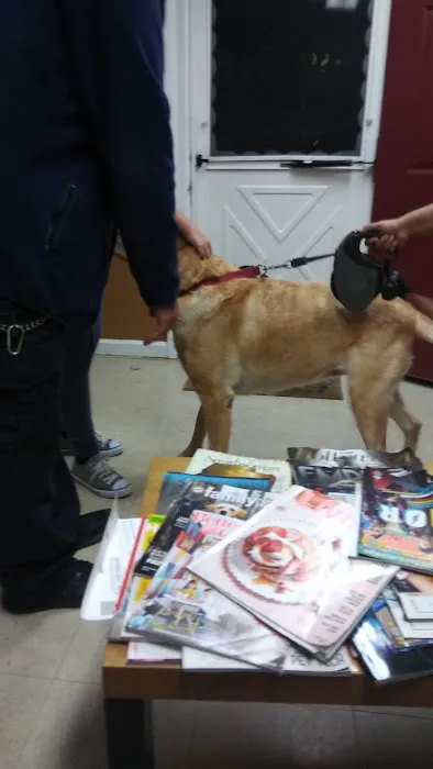 Compassion Veterinary Clinic 4