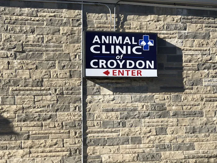 Joyful Animal Hospital 12