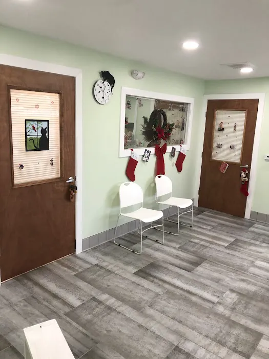 Joyful Animal Hospital 12