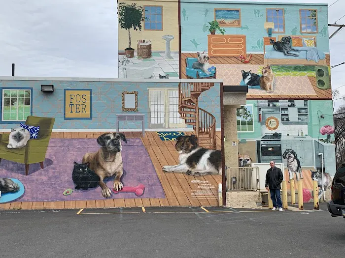 PAWS Northeast Spay/Neuter & Wellness Clinic 12