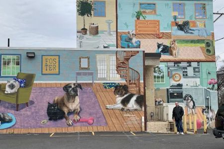 PAWS Northeast Spay/Neuter & Wellness Clinic