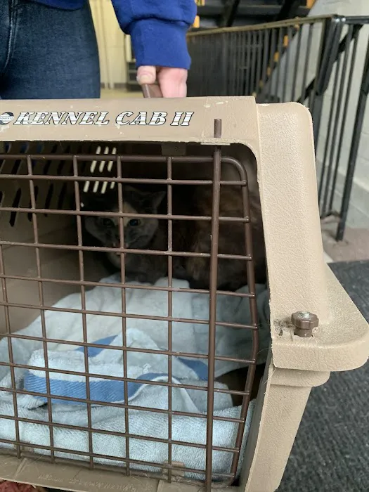 PAWS Northeast Spay/Neuter & Wellness Clinic 12