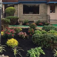 World of Animals at Bethayres ico