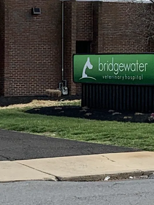 Bridgewater Veterinary Hospital 12
