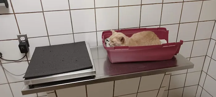 Bridgewater Veterinary Hospital 12