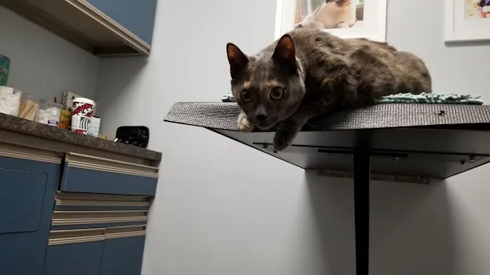 Holland Veterinary Care 2