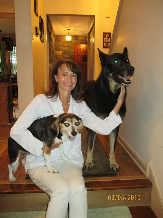Holland Veterinary Care 9