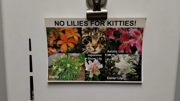 Holland Veterinary Care 7