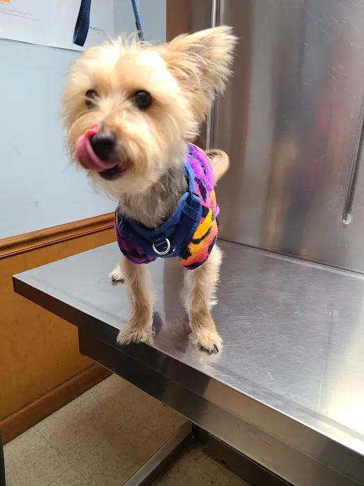 Cottman Animal Hospital 2