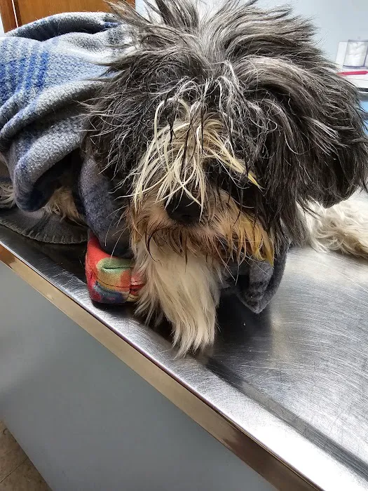 Cottman Animal Hospital 9