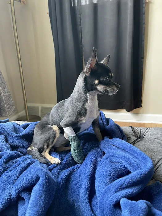 Cottman Animal Hospital 8