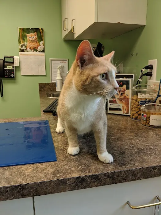 VCA Neshaminy Animal Hospital 12