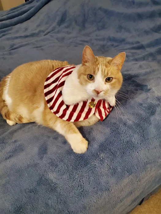 VCA Neshaminy Animal Hospital 12