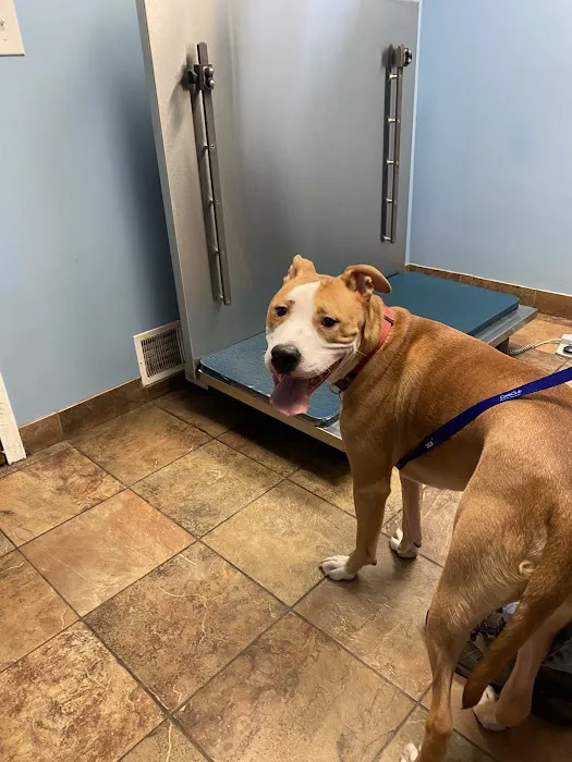 VCA Neshaminy Animal Hospital 12