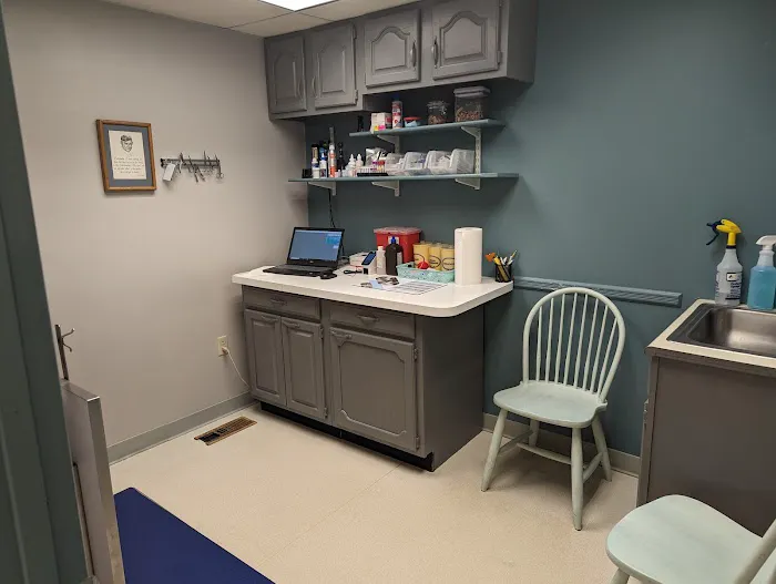 Buxmont Veterinary Hospital 12