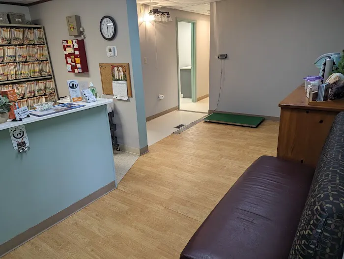 Buxmont Veterinary Hospital 12