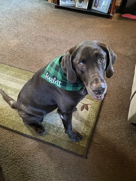 Buxmont Veterinary Hospital 12
