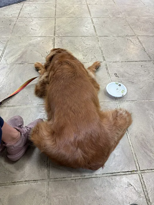 Sugar Grove Animal Hospital: Beisinger Richard DVM 12