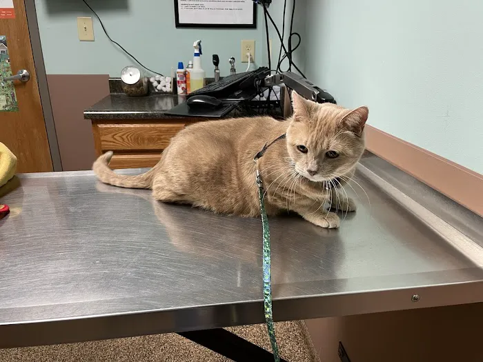 Franklin Animal Clinic 3