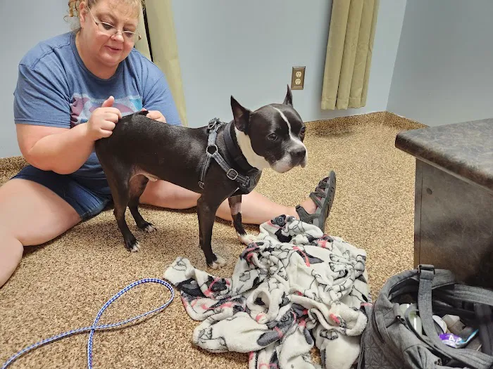 Franklin Animal Clinic 2