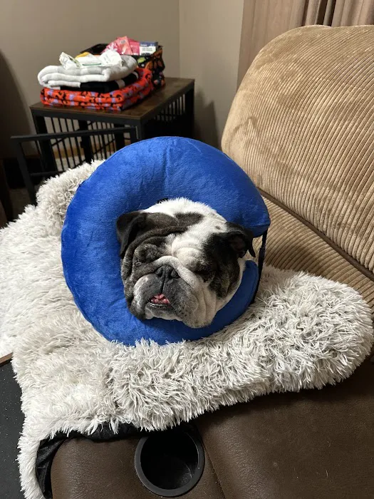 Franklin Animal Clinic 8