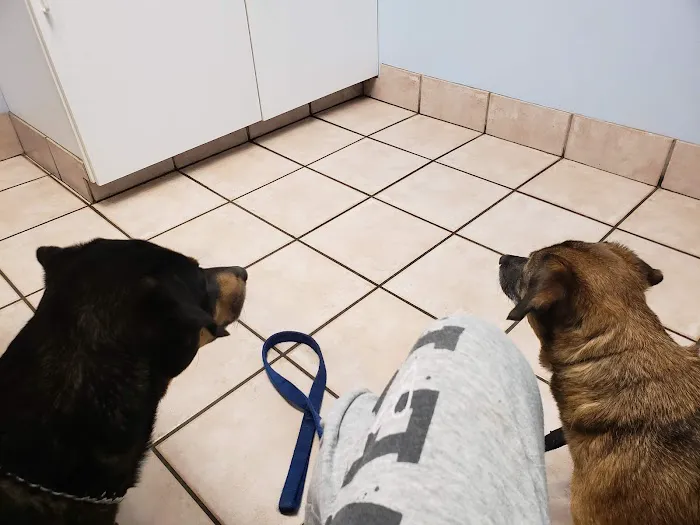 Rockville Road Animal Hospital 2