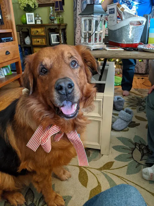 Keystone Pet Hospital 12