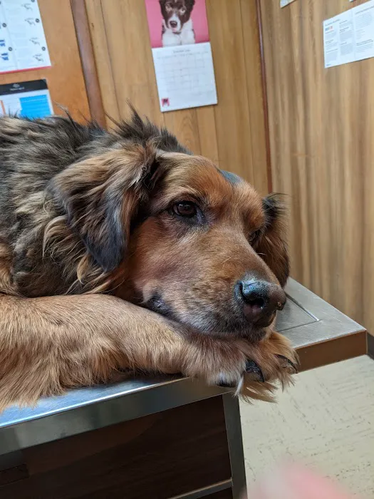 Keystone Pet Hospital 12