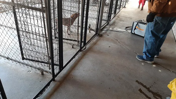 Keystone Pet Hospital 12
