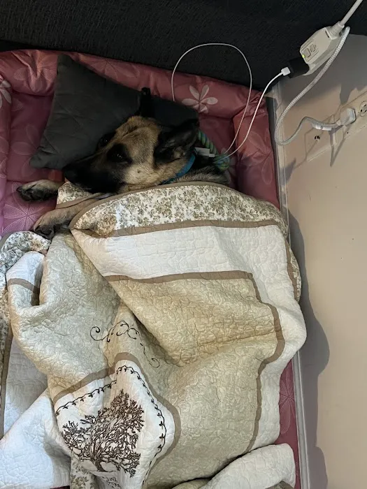 Keystone Pet Hospital 12