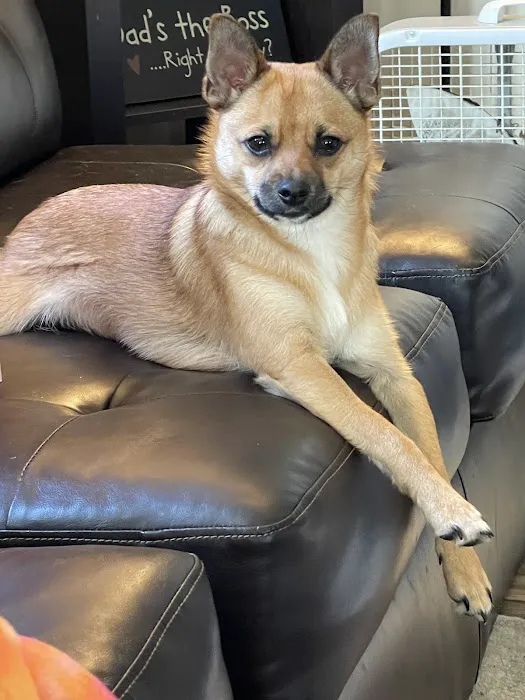 Keystone Pet Hospital 12
