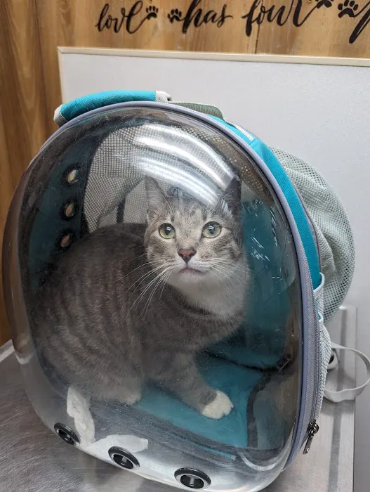Keystone Pet Hospital 12