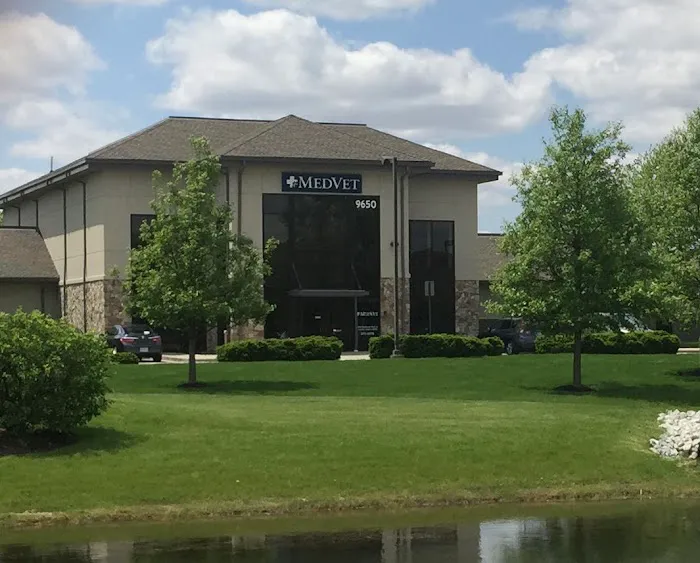 MedVet Indianapolis 6