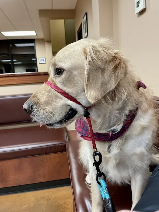 MedVet Indianapolis 1