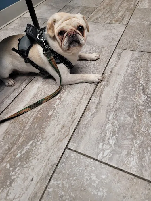 Noah's Westside Animal Hospital 8