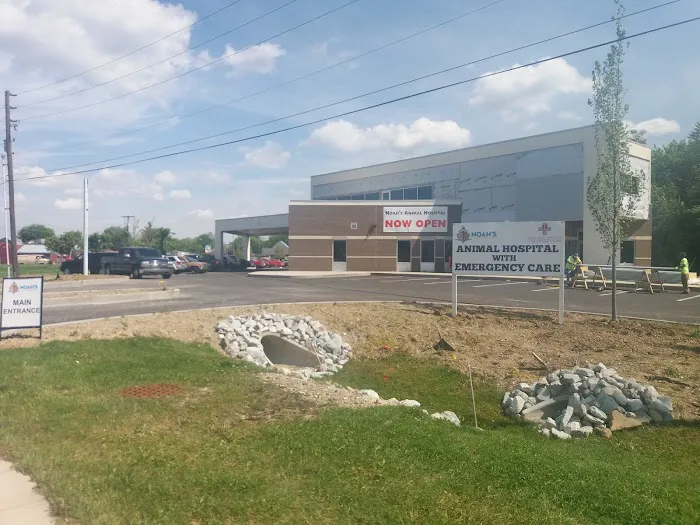 Noah's Westside Animal Hospital 6
