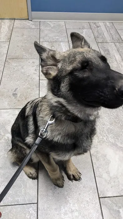 Noah's Westside Animal Hospital 9