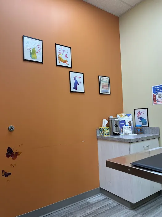 VetCheck Pet Urgent Care Center - Carmel 12