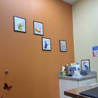 VetCheck Pet Urgent Care Center - Carmel ico