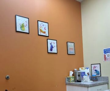VetCheck Pet Urgent Care Center - Carmel