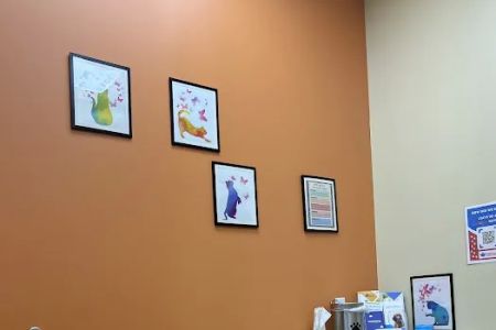 VetCheck Pet Urgent Care Center - Carmel